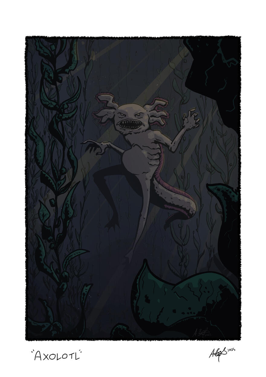 Axolotl