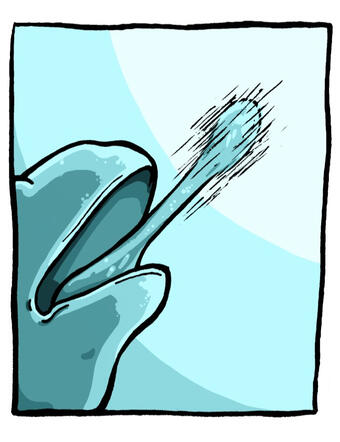 Panel 6